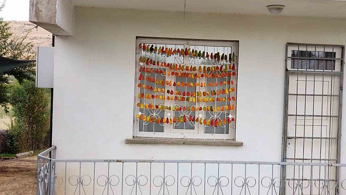 Elazığ'da Renkli Görüntüler