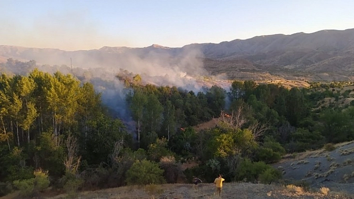 Elazığ'da 30 Dönüm Orman Alanı Zarar Gördü