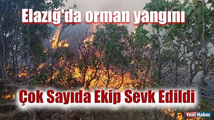 Elazığ'da orman yangını: Çok sayıda ekip sevk edildi