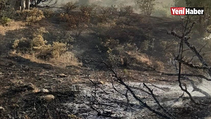 Elazığ'da ormanlık alanda çıkan yangın büyümeden söndürüldü