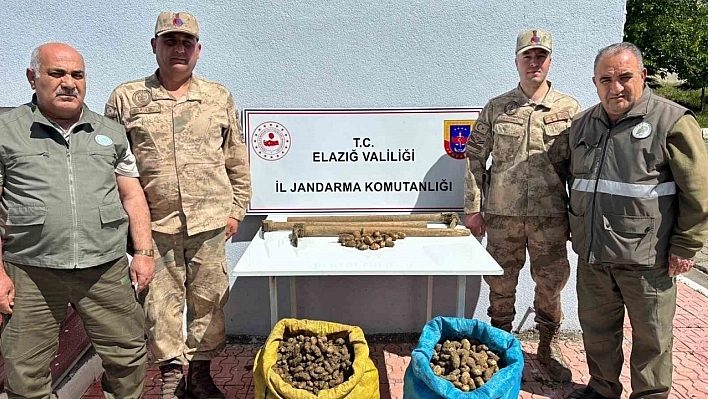 Salep Soğanı Toplayanlara Ceza!