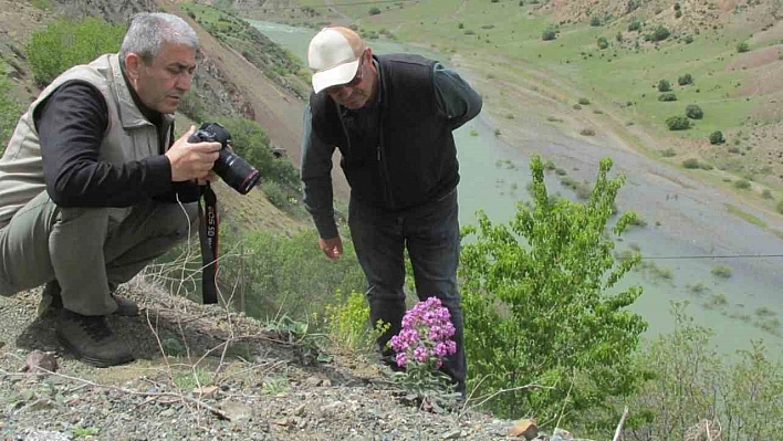 Elazığ'da Ulusal Biyolojik Çeşitlilik ve Envanter İzleme Projesi çalışması