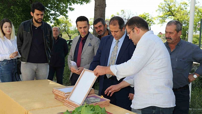 Üreticilere İpek Böceği Desteği