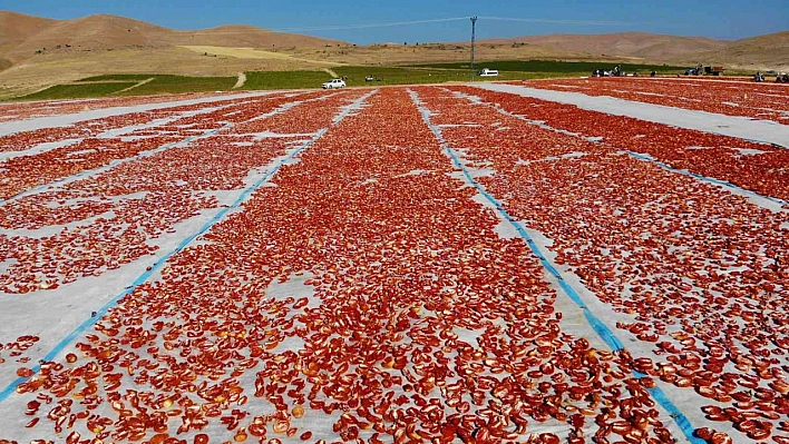 Elazığ'dan Dünyaya İhraç Ediliyor