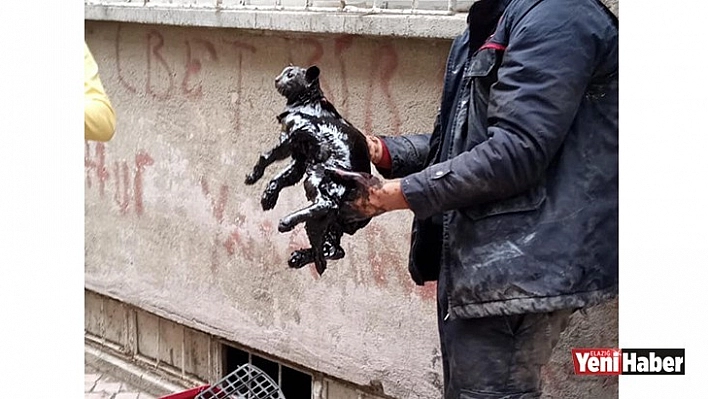 Elazığ'da Yakıt Tankına Düşen Kedi Kurtarıldı!