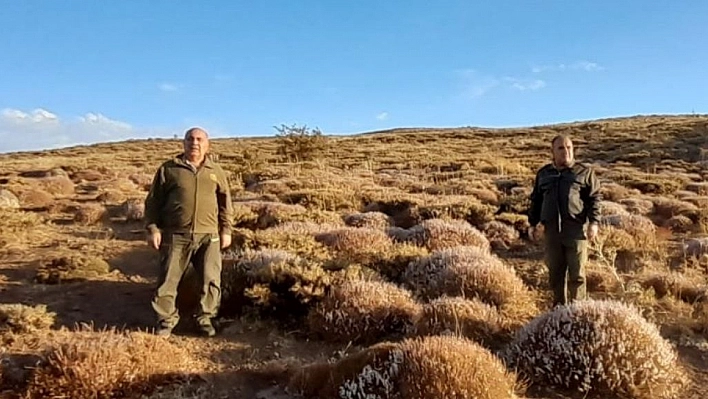 Elazığ'da yasadışı avcılık yapan 1 kişiye idari işlem uygulandı