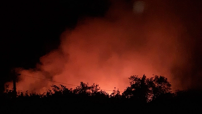 Elazığ'da OrmanYangını