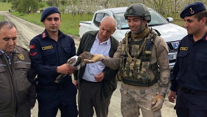 Komandolardan yaralı şahine şefkat eli