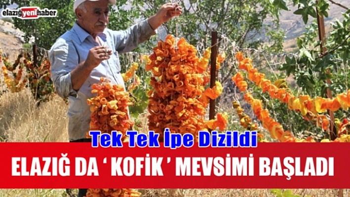 Elazığ'da 'Kofik' Mevsimi Başladı