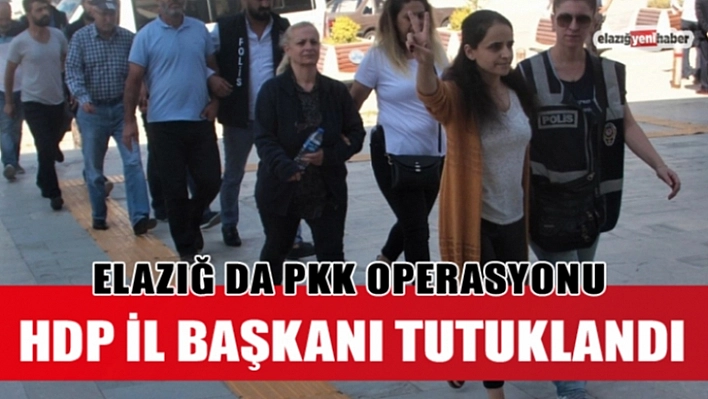 Elazığ'da HDP'nin Eş Başkanı Tutuklandı