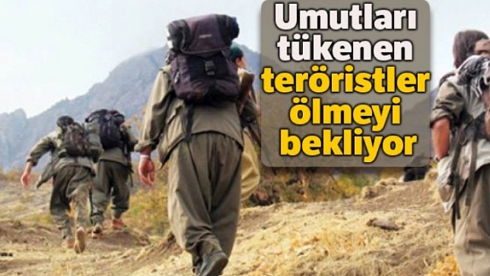 Yakalanan Teröristlerden İtiraflar !