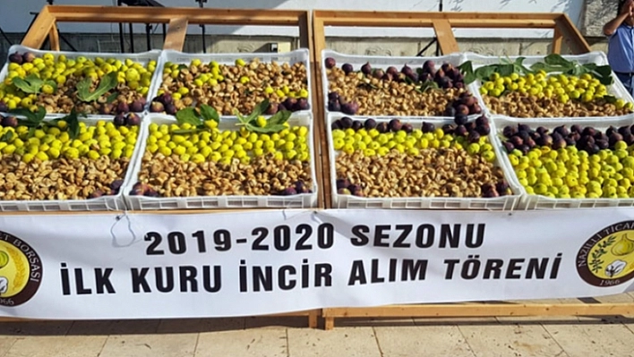 Sezonun İlk Üretimi ! Kilosu 250 TL