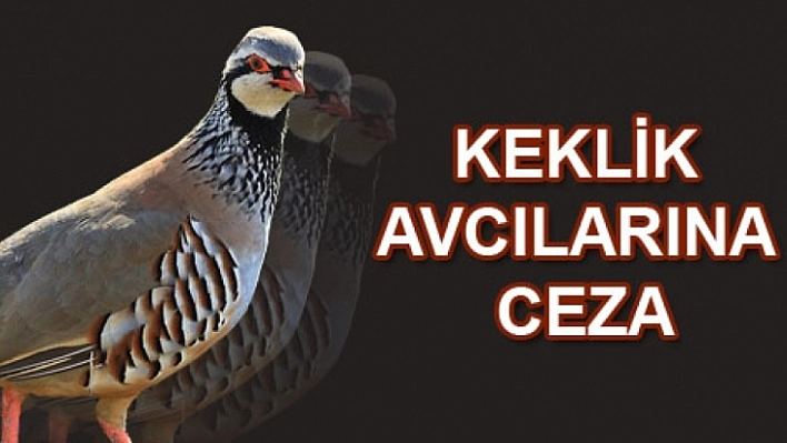 Keklikle Yakalanan Şahsa Bin 946 TL Ceza