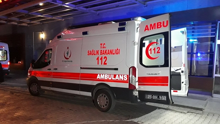 Ağabey, Kardeşini Öldürdü