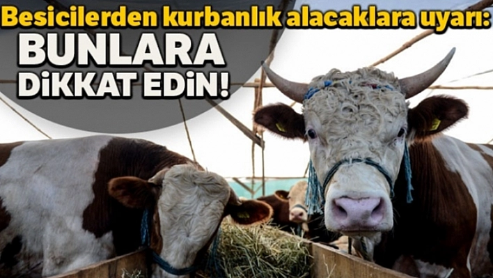 Kurbanlık Alacaklar, Mutlaka Okuyun