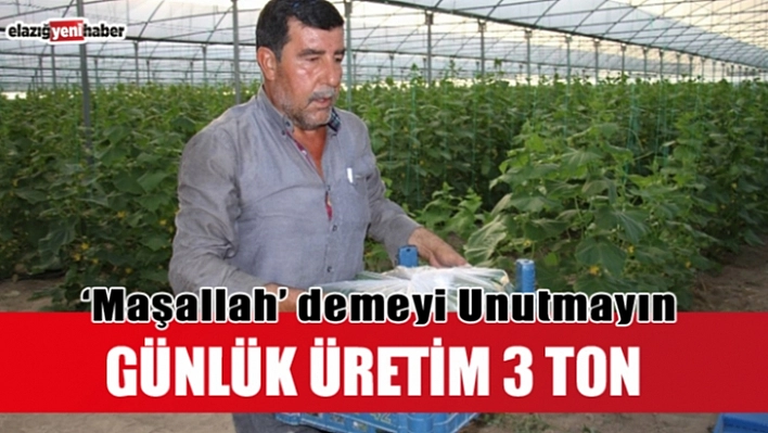 Maşallah! Günde Üç Ton...