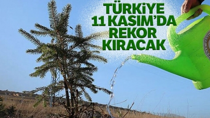 11 Kasım için Hazır mısınız ?