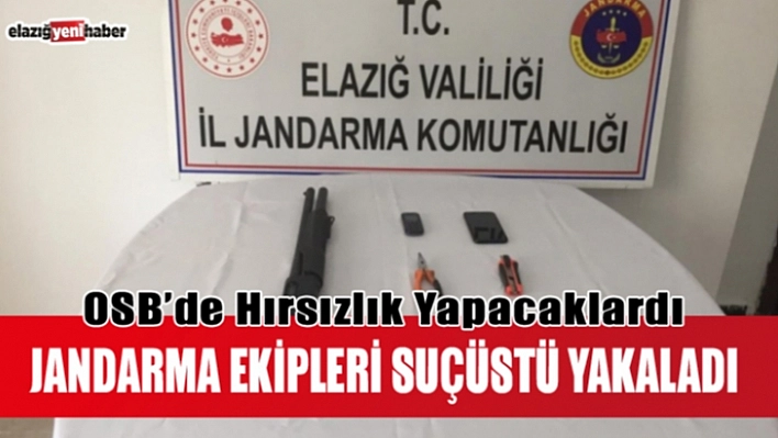 Hırsızlar Suç Üstü Yakalandı