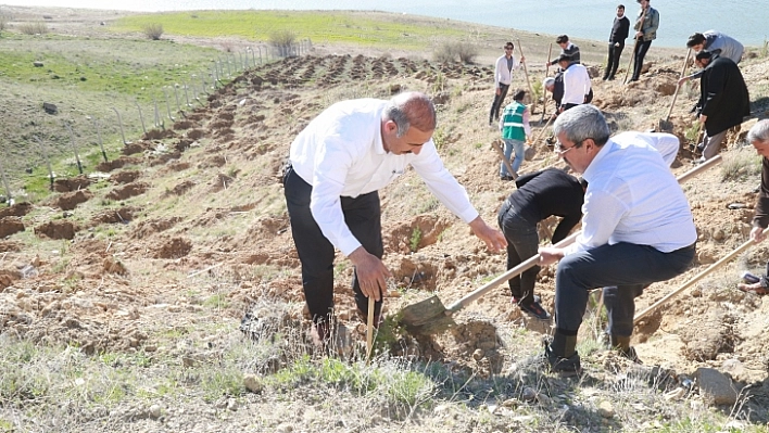 Akıncılar Derneği Üyeleri Fidan Diktiler