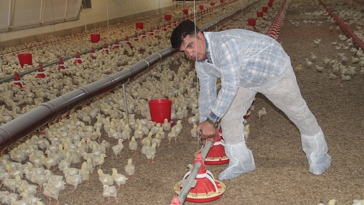 Kendi işinin patronu oldu