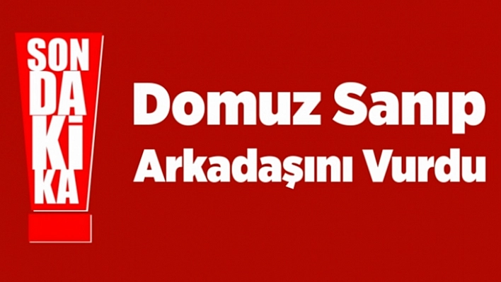 Domuz Avında Yanlışlıkla Arkadaşını Öldürdü