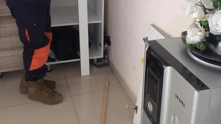Dolap, arasına sıkışan kedi kurtarıldı