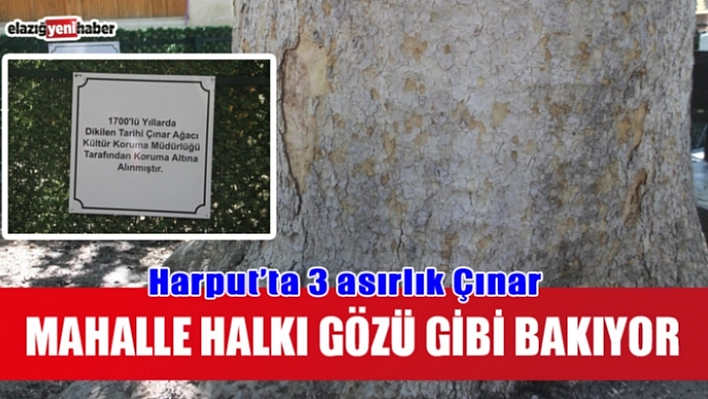 Harput'ta Yaşayan Tarih