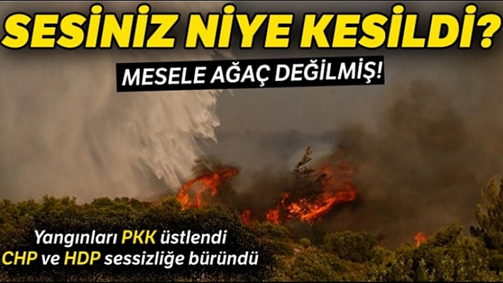 CHP ve HDP Sessizliğe Büründü