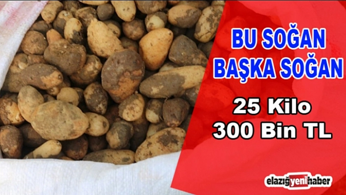 Salep Soğanı Toplayanlara Ceza