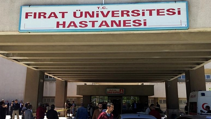 Köy korucusu kuzeni tarafından vuruldu