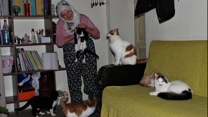 Nuriye Teyze'nin kedi sevgisi