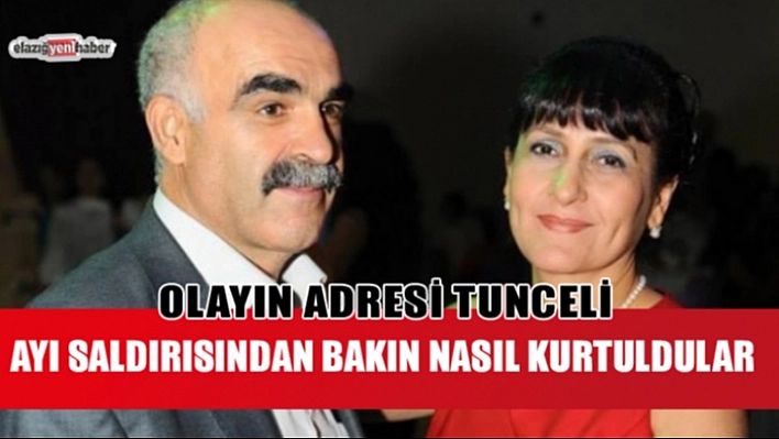Ayının Saldırdığı Karı-Koca Yaralandı