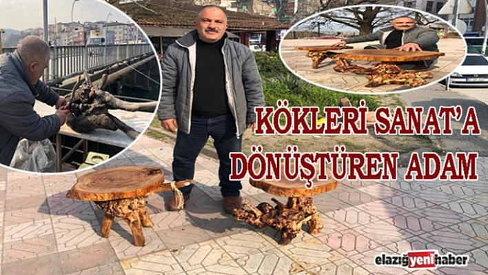 Ağaç Kökleri Eşya Oluyor