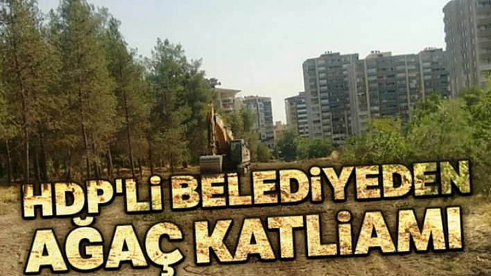 Bir Zamanlar Derdimiz 'Ağaç' Diyorlardı