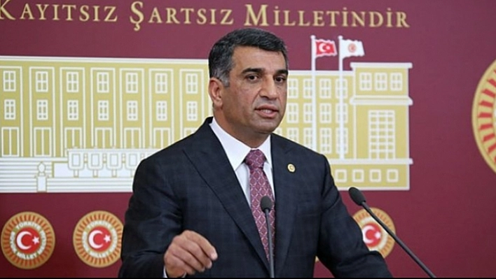 'Sahipsiz Köpekler, İnsanlarımızı Tehdit Etmektedir'