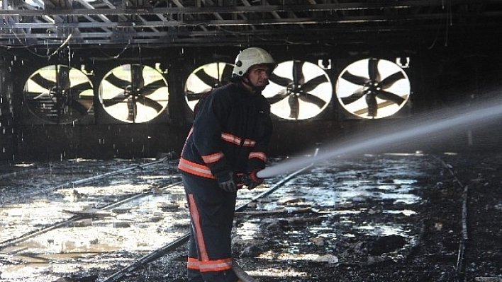 Elazığ'da 22 Bin Civciv Telef Oldu