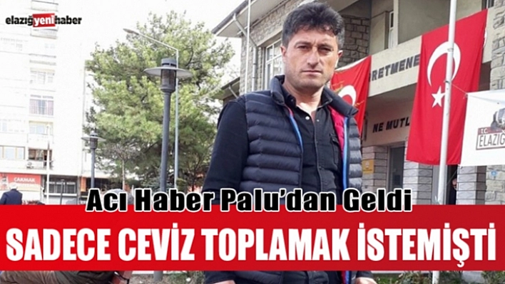 Ağaç'tan düşerek Hayatını Kaybetti