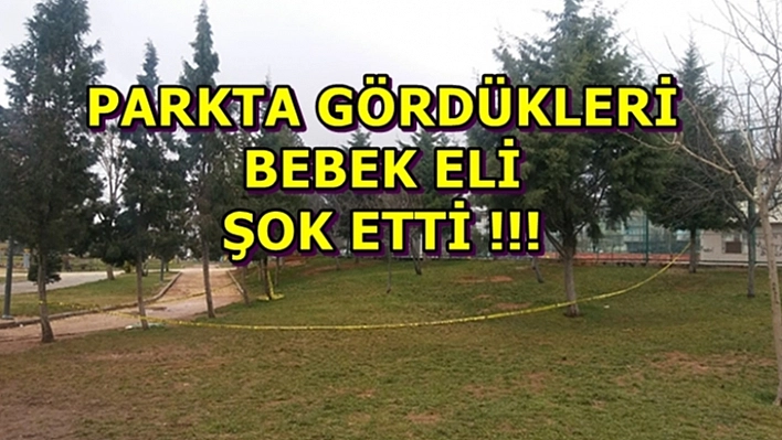 Parkta Gördükleri Bebek Eli Şok Etti