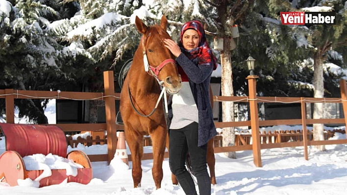 Elazığ'ın Tek Kadın Seyisi