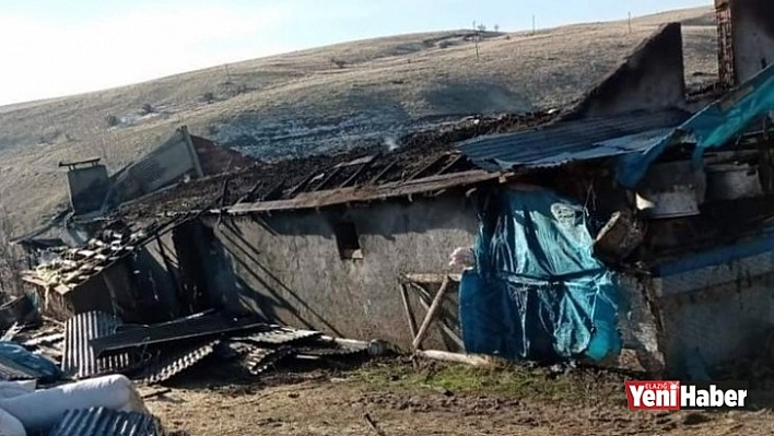 Elektrik Kontağı 12 Hayvanı Telef Etti