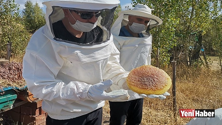 Hozat'ta Bal Zamanı!