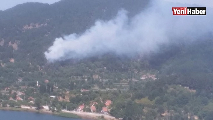 İzmir Ödemiş'te Orman Yangını!