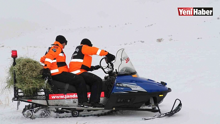 JAK ve HAYDİ ekipleri yaban hayatı için seferber oldu