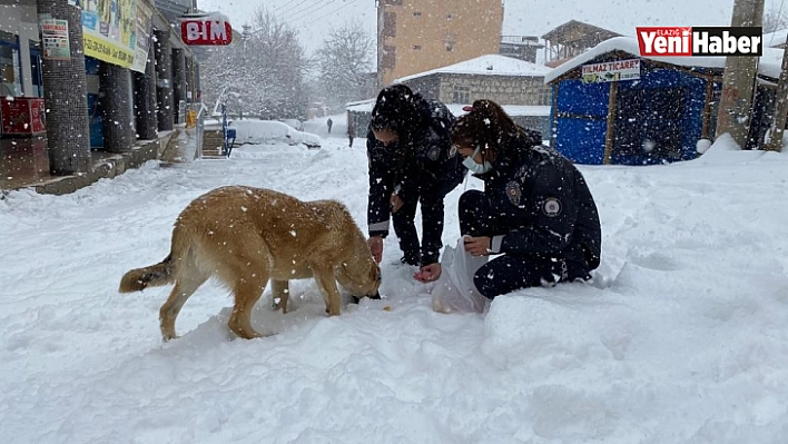Palu'da Güvenlik Güçlerinden Anlamlı Davranış