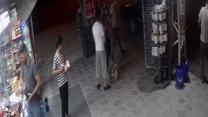 Elazığ'da Buda Oldu! Kedi Köpeklere Saldırdı!