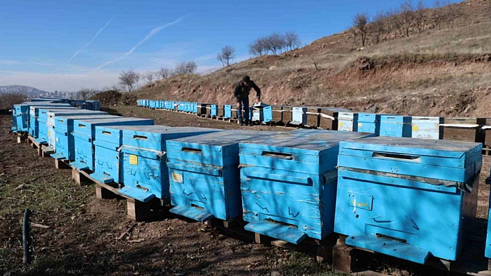Küresel Isınma Arıları Uyutmadı