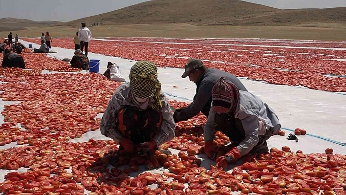 Helal Olsun Bu Gençlere!