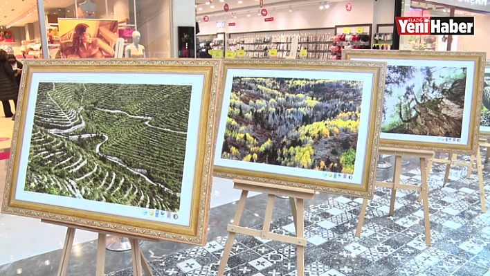 Orman Bölge Müdürlüğünden Fotoğraf Sergisi