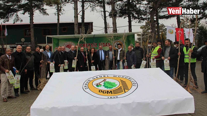 Üreticilere 6 bin 500 dut fidanı dağıtıldı