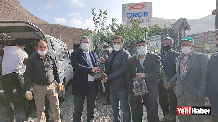 Yüzde 50 Hibe Destekli 27 Bin Fidan, Çiftçilere Dağıtıldı!